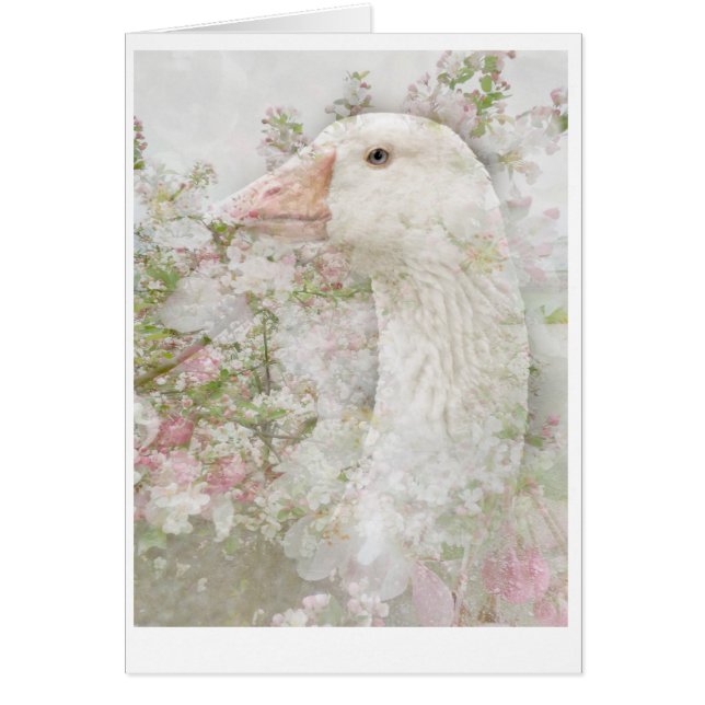 Gans in den Blüten (Vorne)