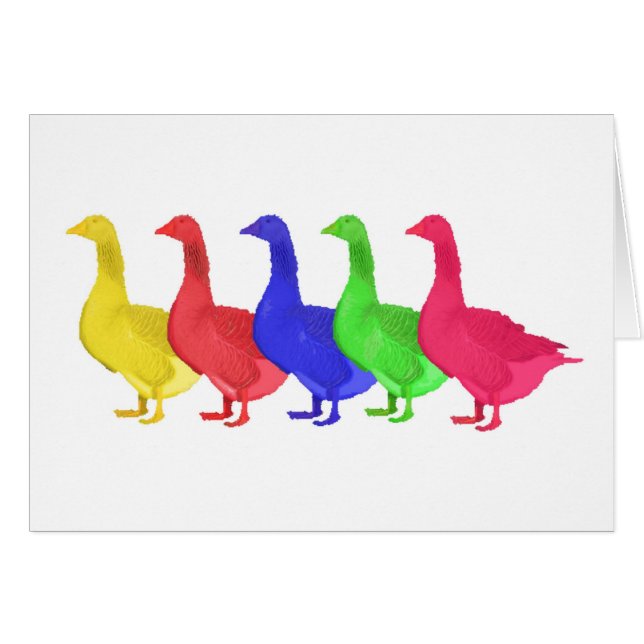Gans in fünf Farben (Vorderseite (Horizontal))