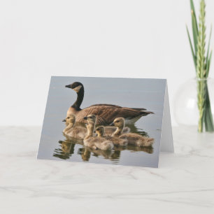 Gans mit Küken-Gruß-Karte Karte
