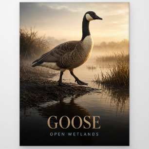 Gans offene Feuchtgebiete Wildtier TIER Postkarte