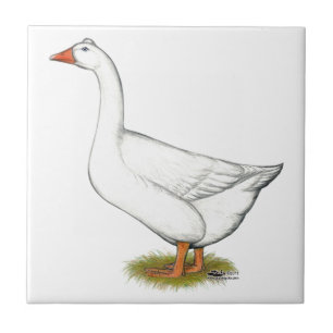 Gans-römisches büscheliges fliese