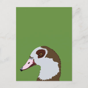 Gans Wasservögel Vogel Gans Postkarte