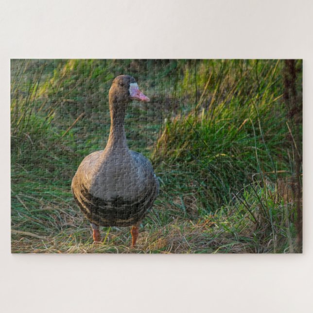 Gänse (Horizontal)