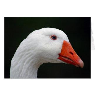 Gänse