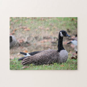 Gänse
