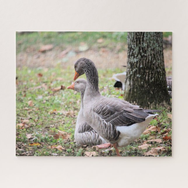 Gänse (Horizontal)