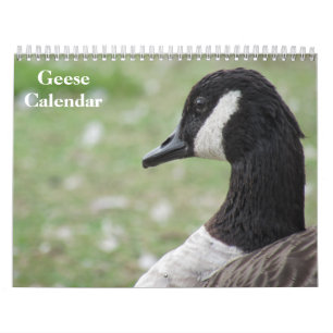 Gänse 2027 kalender