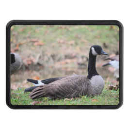 Gänse Abschlepphaken Cover