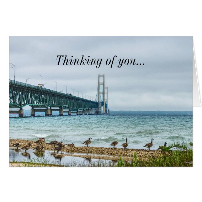 Gänse am Mighty Mac denken an dich (Vorderseite (Horizontal))