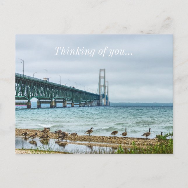 Gänse am Mighty Mac denken an dich Postkarte (Vorderseite)