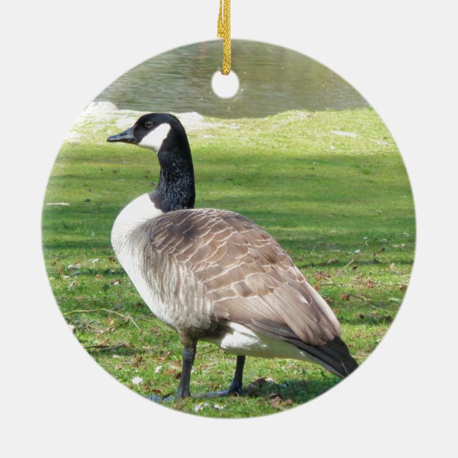 Gänse an der Küste, Wildtiere, Natur Keramik Ornament (Hinten)