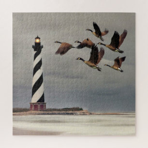 GÄNSE AN KAP HATTERAS LEUCHTTURM