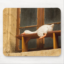 Gänse auf einer Bank Mousepad