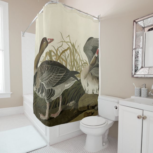 Gänse aus Audubon Birds of America  Duschvorhang (Beispiel)