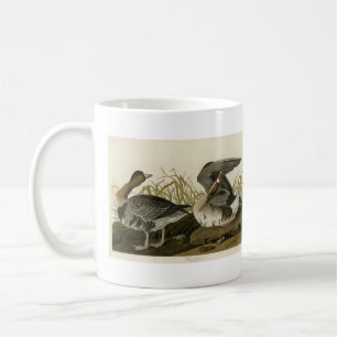 Gänse aus Audubon Birds of America Kaffeetasse
