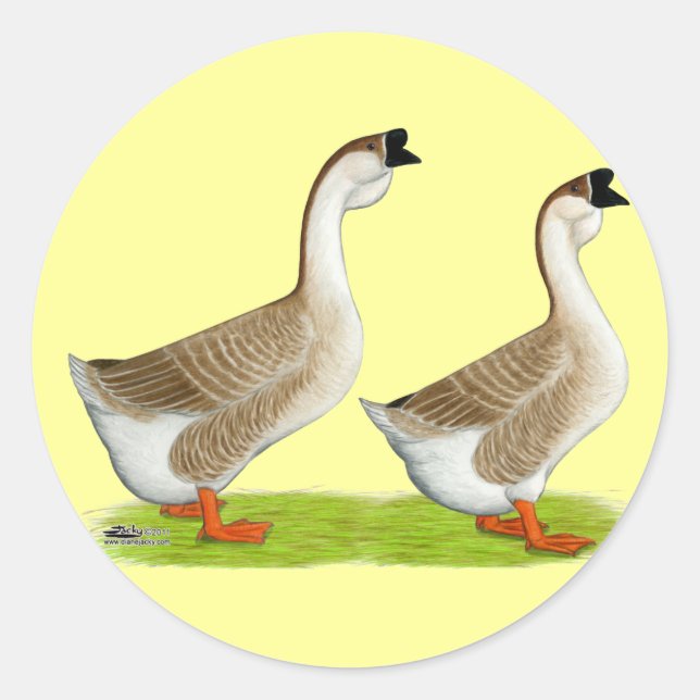 Gänse: Buff African Runder Aufkleber (Vorderseite)