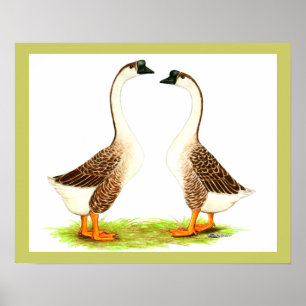 Gänse: Chinesisch braun Poster