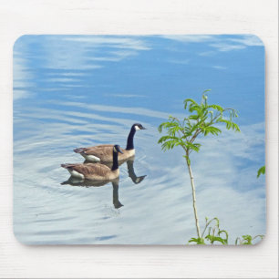 Gänse, die sich ein Schwimmen gönnen Mousepad