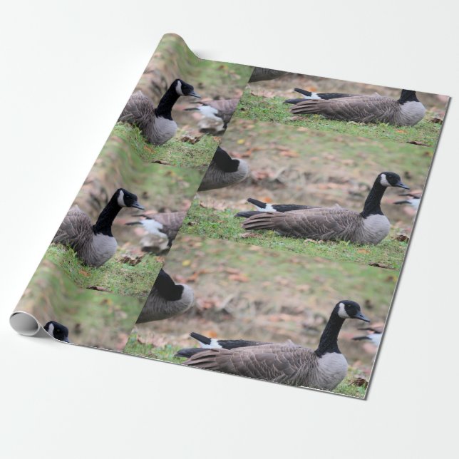 Gänse Geschenkpapier (Ungerollt)