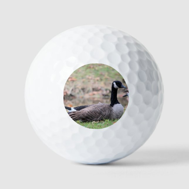Gänse Golfball (Vorderseite)