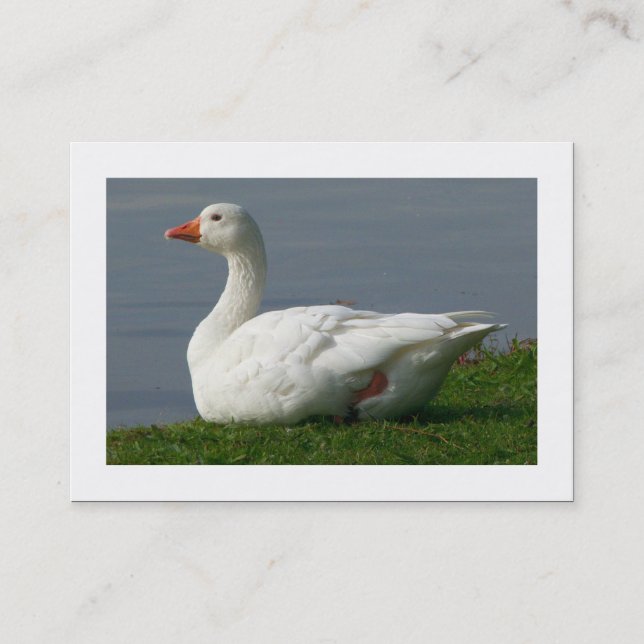 Gänse (grenzt) visitenkarte (Vorderseite)