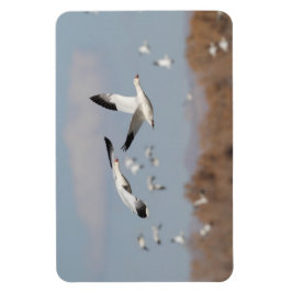 Gänse im Bosque-Himmel Magnet