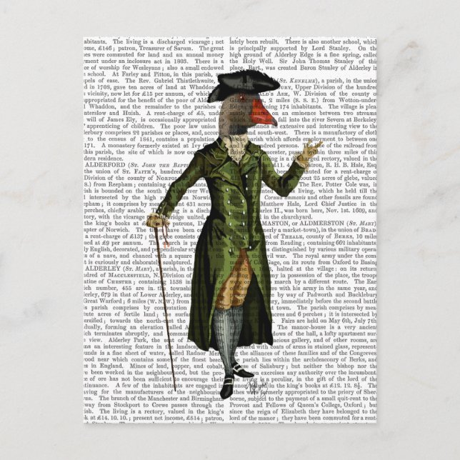 Gänse im grünen Regenmantel 2 Postkarte (Vorderseite)