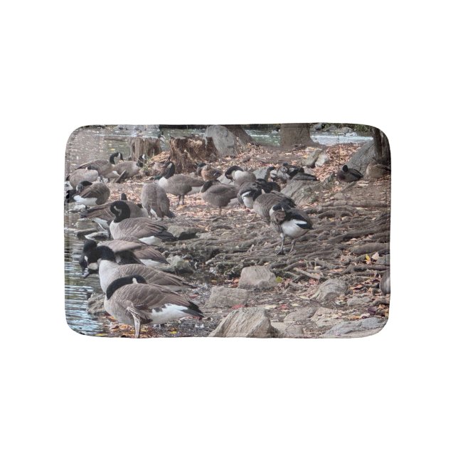 Gänse im Park Badematte (Vorderseite)