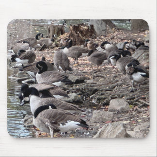 Gänse im Park-Mauspad Mousepad