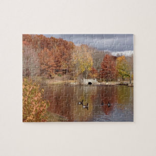 Gänse in reflektierten Herbstfarben -