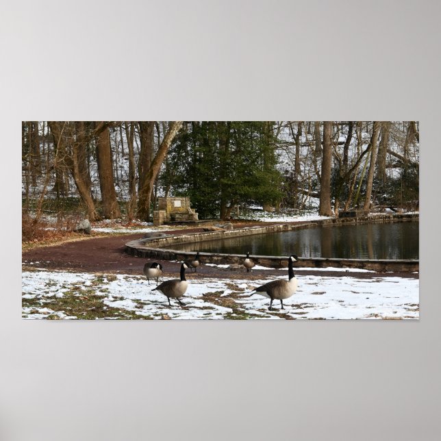 Gänse in Schnee von Teich Poster (Vorne)