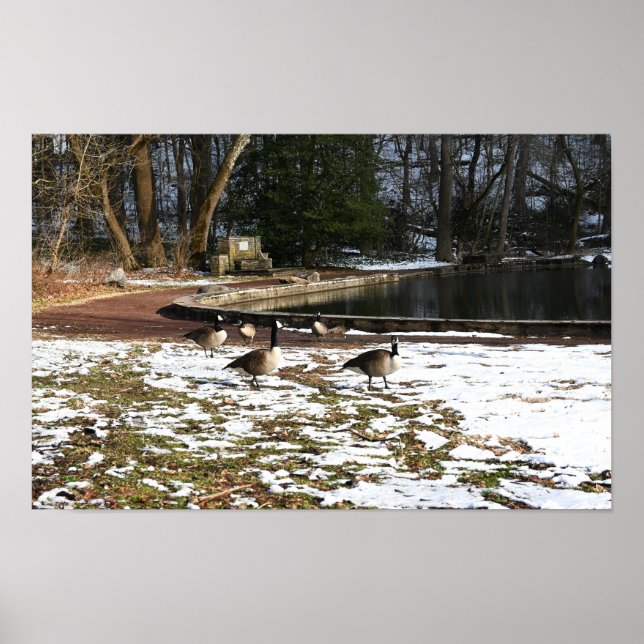 Gänse in Schnee von Teich Poster (Vorne)