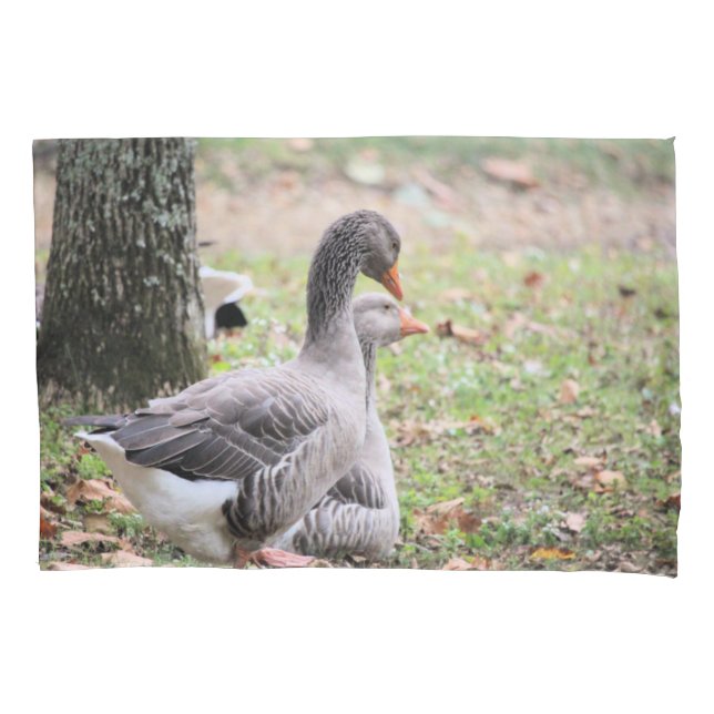 Gänse Kissenbezug (Vorderseite)