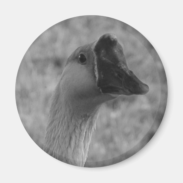 Gänse Magnet (Vorne)
