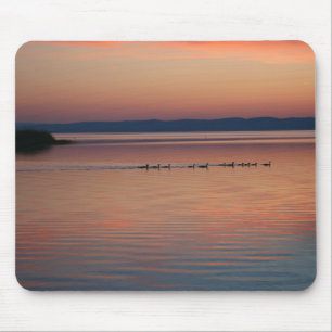 Gänse Mousepad