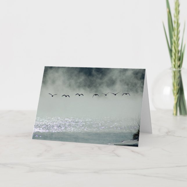 Gänse nehmen Flug-Karte Karte (Vorderseite)