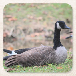Gänse Rechteckiger Pappuntersetzer