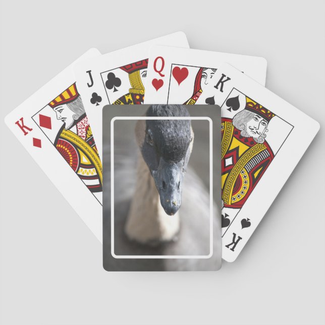 Gänse Spielkarten (Rückseite)