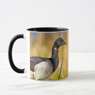 Gänse  tasse