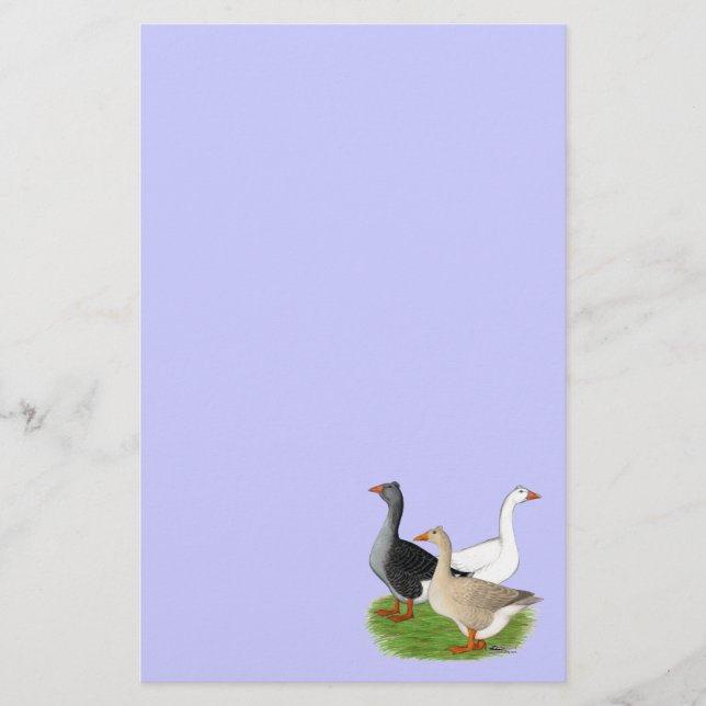 Gänse: Tufted Trio Briefpapier (Vorderseite)