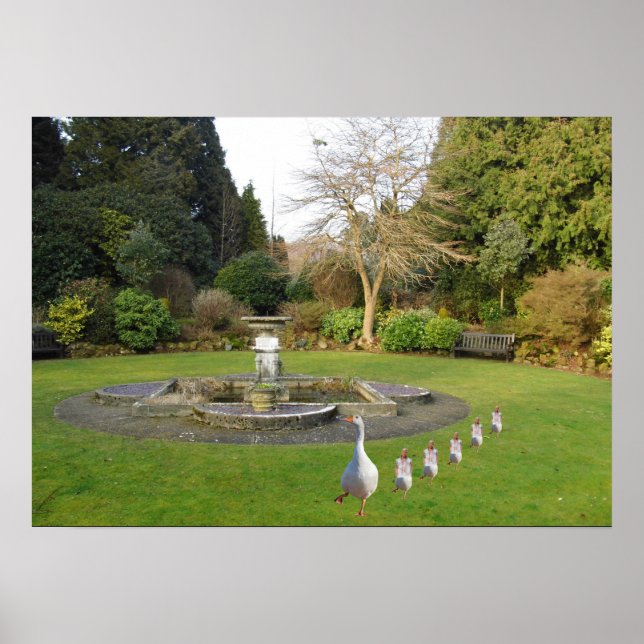 Gänse- und Goslings-Marching Poster (Vorne)