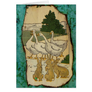 Gänse und Kaninchen