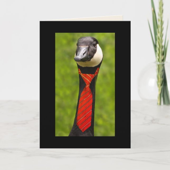 Gänse und Necktie zum Geburtstag Karte (Vorderseite)