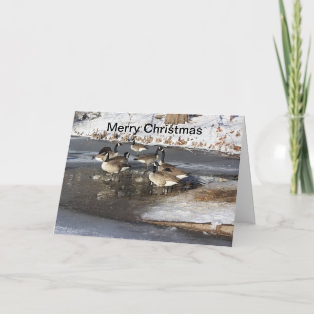 Gänse Warten Feiertagskarte (Vorderseite)