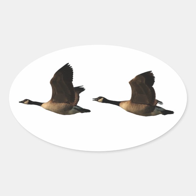 Gänseaufkleber Ovaler Aufkleber (Vorderseite)