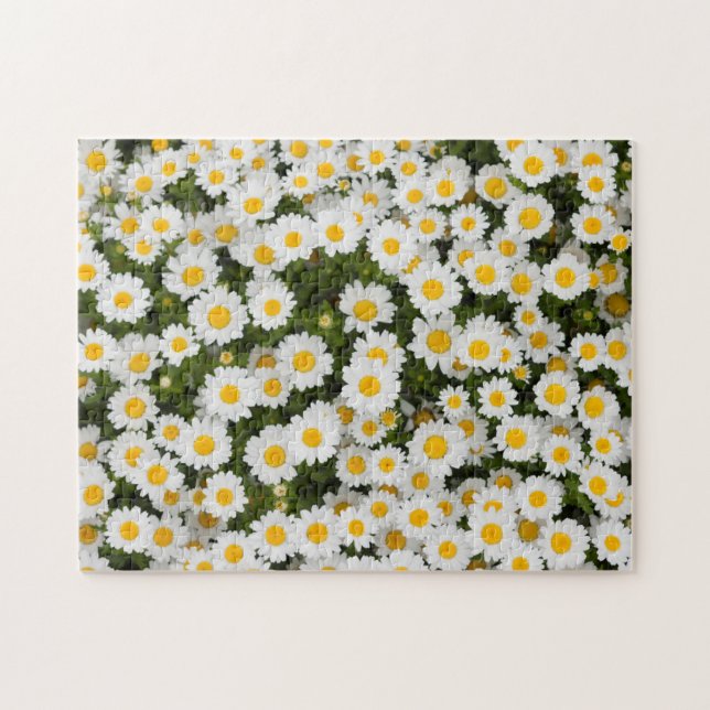Gänseblümchen (Horizontal)
