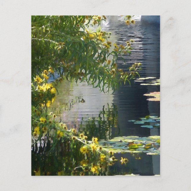 Gänseblümchen am Teich (Vorderseite)