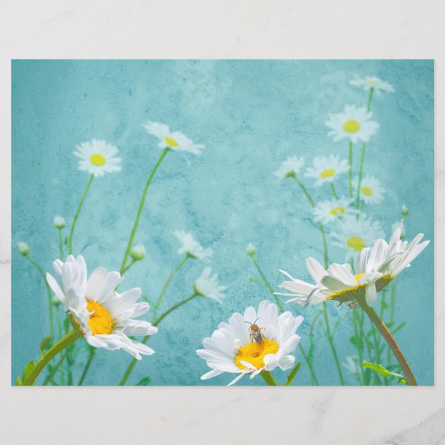 Gänseblümchen auf blauem Hintergrund (Vorderseite)
