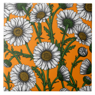 Gänseblümchen auf orange fliese