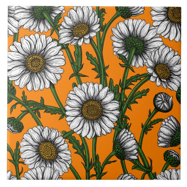 Gänseblümchen auf orange fliese (Vorderseite)